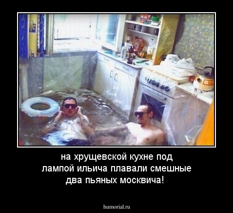 на хрущевской кухне
под лампой ильича
плавали смешные
два пьяных москвича!