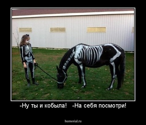 -Ну ты и кобыла!   -На себя посмотри!