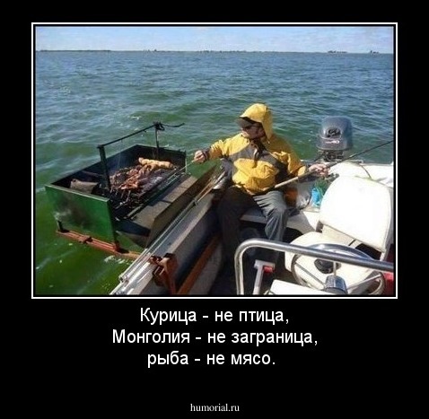 Курица - не птица, Монголия - не заграница, рыба - не мясо.