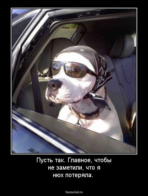 Пусть так. Главное, чтобы не заметили, что я нюх потеряла.