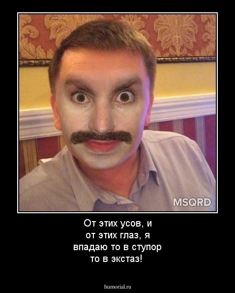 От этих усов, и от этих глаз, я впадаю то в ступор то в экстаз!