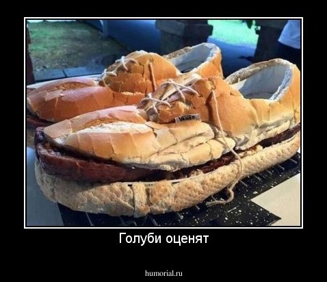 Голуби оценят