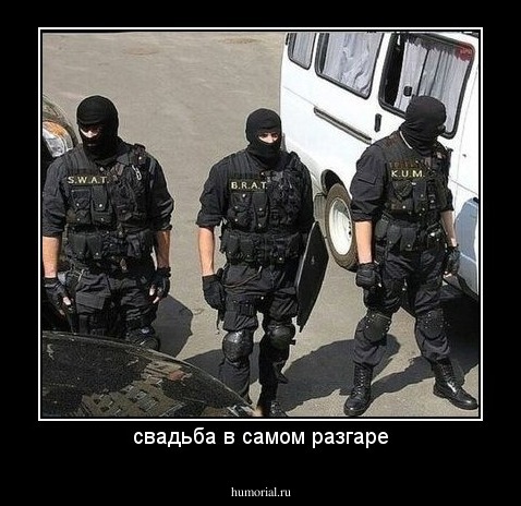 свадьба в самом разгаре