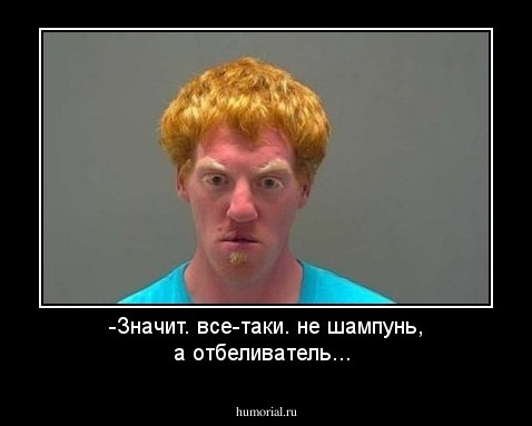 -Значит. все-таки. не шампунь, а отбеливатель...