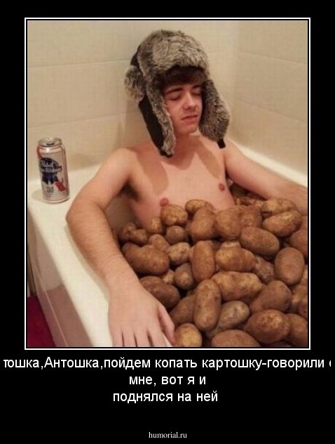 Антошка,Антошка,пойдем копать картошку-говорили они мне, вот я и поднялся на ней