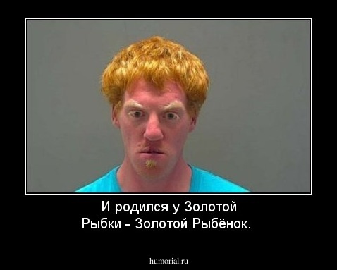 И родился у Золотой Рыбки - Золотой Рыбёнок.