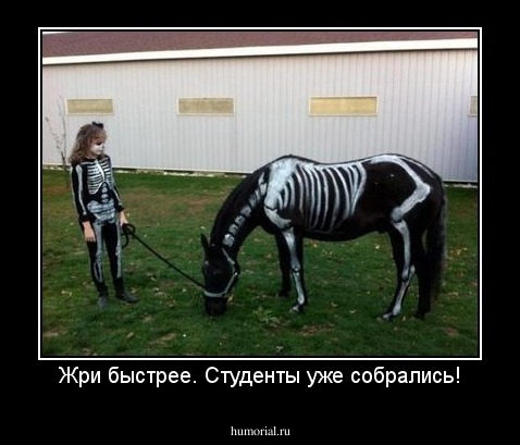 Жри быстрее. Студенты уже собрались!