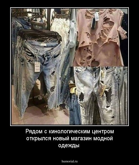 Рядом с кинологическим центром открылся новый магазин модной одежды