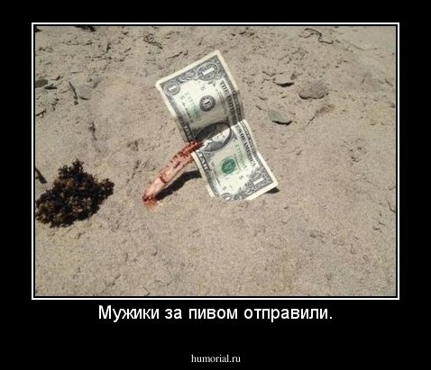 Мужики за пивом отправили.