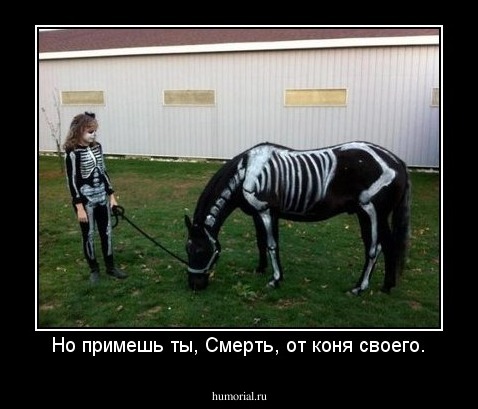Но примешь ты, Смерть, от коня своего.
