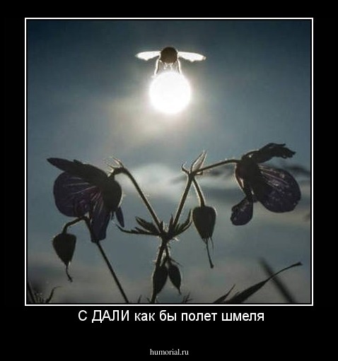  С ДАЛИ как бы полет шмеля