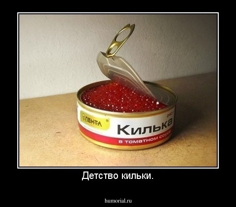 Детство кильки.