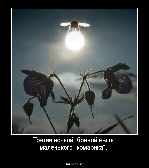 Третий ночной, боевой вылет маленького "комарика".