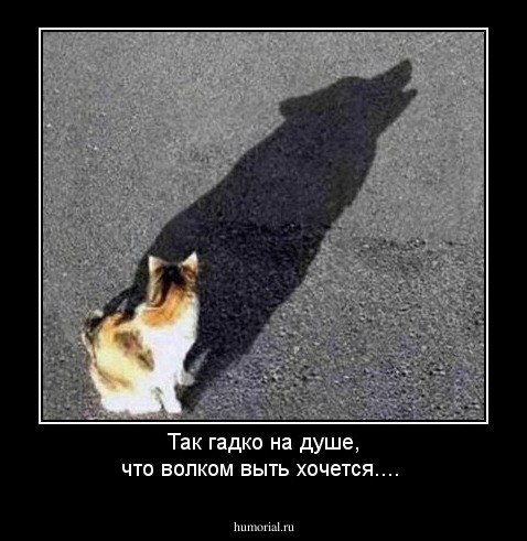 Так гадко на душе, что волком выть хочется....
