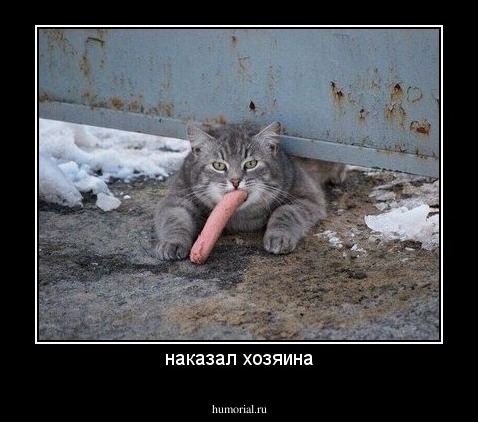 наказал хозяина