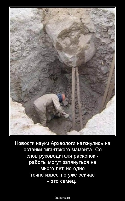 Новости науки.Археологи наткнулись на останки гигантского мамонта. Со слов руководителя раскопок - работы могут затянуться на много лет, но одно точно известно уже сейчас - это самец.