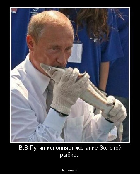 В.В.Путин исполняет желание Золотой рыбке.