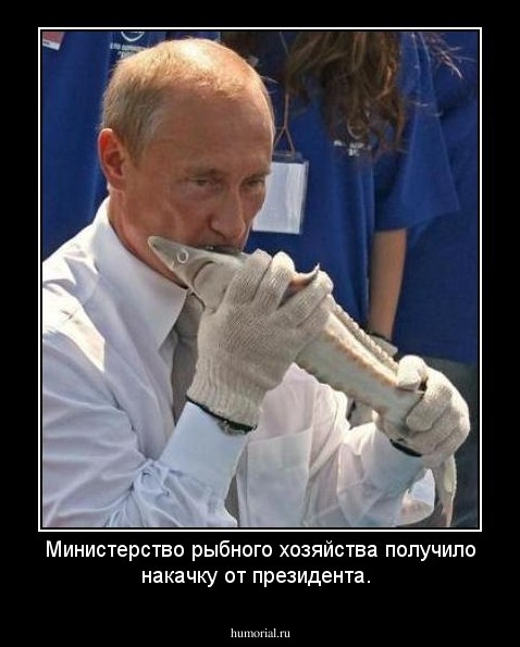 Министерство рыбного хозяйства получило накачку от президента.