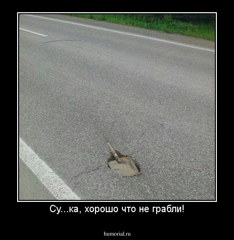 Су...ка, хорошо что не грабли!