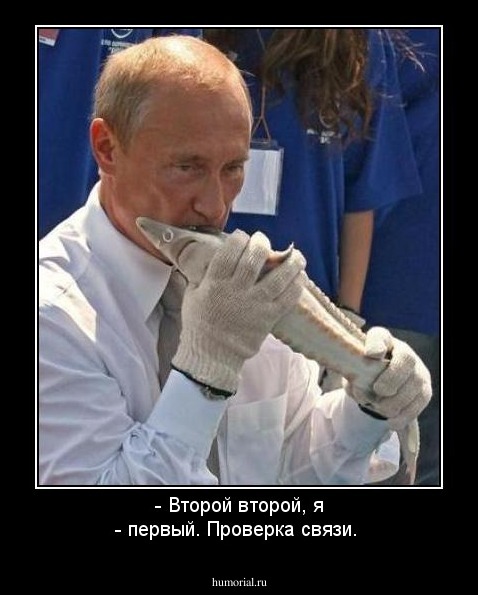 -  Второй второй, я - первый. Проверка связи.