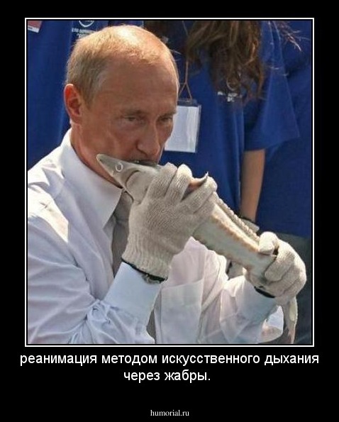 реанимация методом искусственного дыхания через жабры.