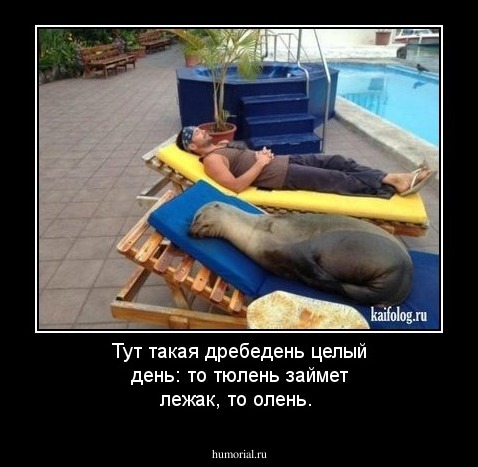 Тут такая дребедень целый день: то тюлень займет лежак, то олень. 