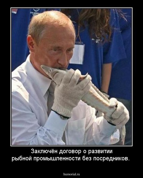 Заключён договор о развитии рыбной промышленности без посредников.