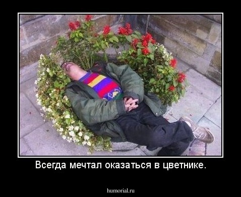 Всегда мечтал оказаться в цветнике.