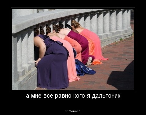 а мне все равно кого я дальтоник