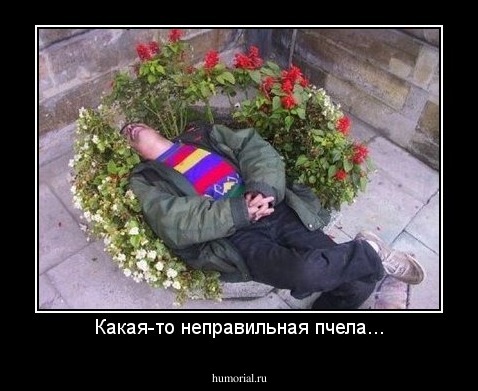Какая-то неправильная пчела...
