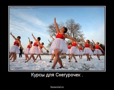 Курсы для Снегурочек .