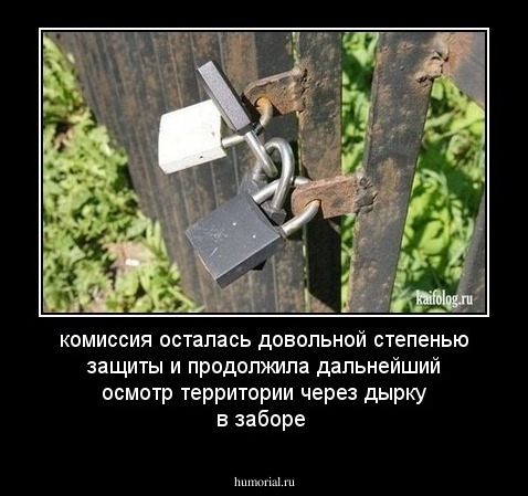 комиссия осталась довольной степенью защиты и продолжила дальнейший осмотр территории через дырку в заборе 
