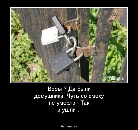 Воры ? Да были домушники. Чуть со смеху не умерли . Так и ушли .