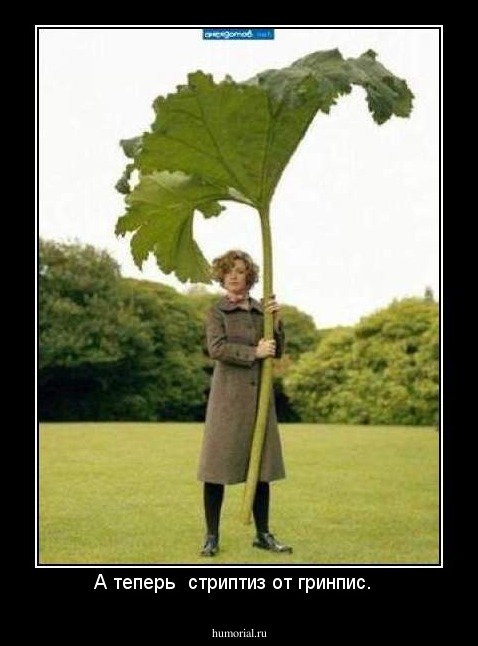 А теперь  стриптиз от гринпис.  