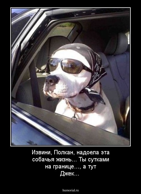Извини, Полкан, надоела эта собачья жизнь... Ты сутками на границе..., а тут Джек...