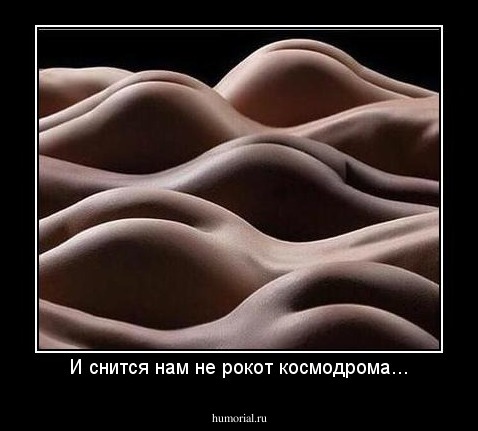 И снится нам не рокот космодрома...