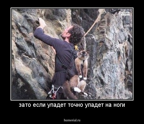 зато если упадет точно упадет на ноги