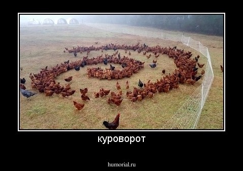 куроворот