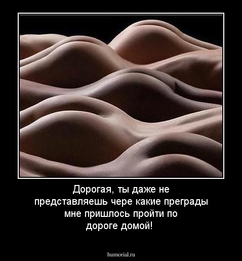 Дорогая, ты даже не представляешь чере какие преграды мне пришлось пройти по дороге домой!