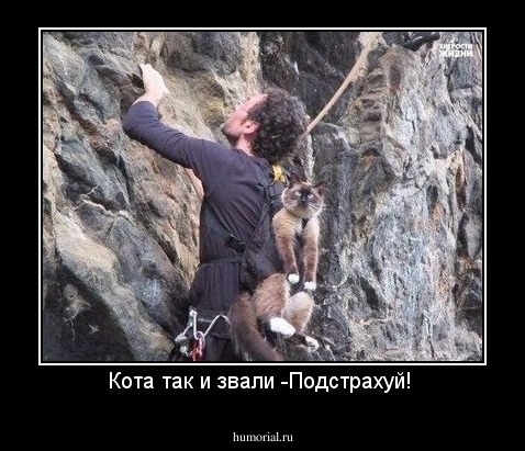 Кота так и звали -Подстрахуй! 
