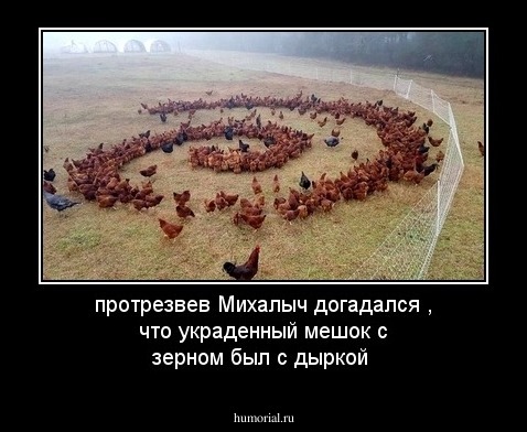 протрезвев Михалыч догадался , что украденный мешок с зерном был с дыркой