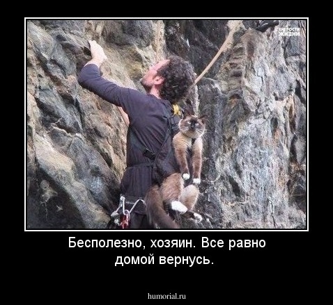 Бесполезно, хозяин. Все равно домой вернусь.