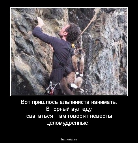Вот пришлось альпиниста нанимать. В горный аул еду свататься, там говорят невесты целомудренные. 