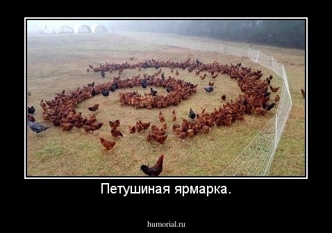 Петушиная ярмарка.