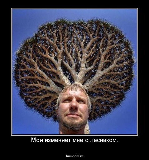 Моя изменяет мне с лесником.