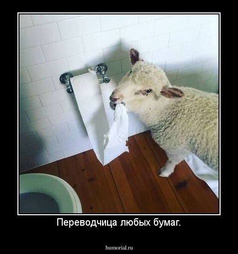 Переводчица любых бумаг.