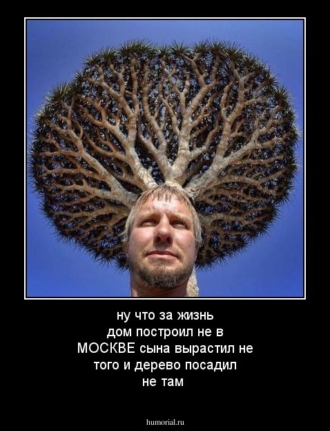 ну что за жизнь дом построил не в МОСКВЕ сына вырастил не того и дерево посадил не там 