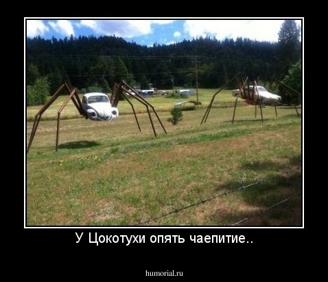 У Цокотухи опять чаепитие..