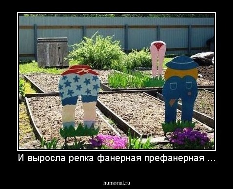 И выросла репка фанерная префанерная ...