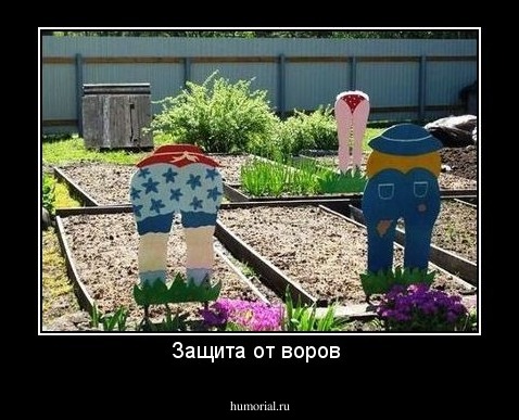 Защита от воров 
